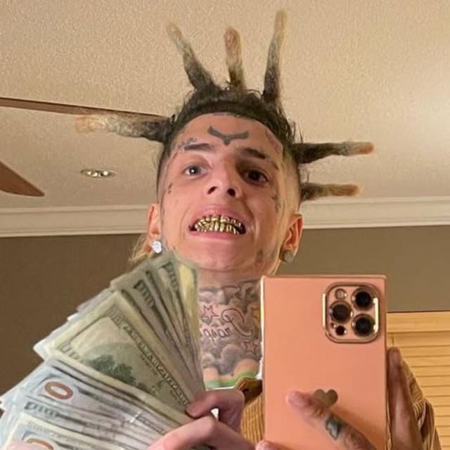 Daniel Rollisson profile picture