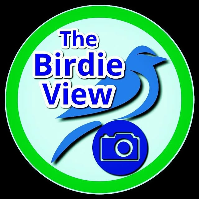 The Birdie View profile picture