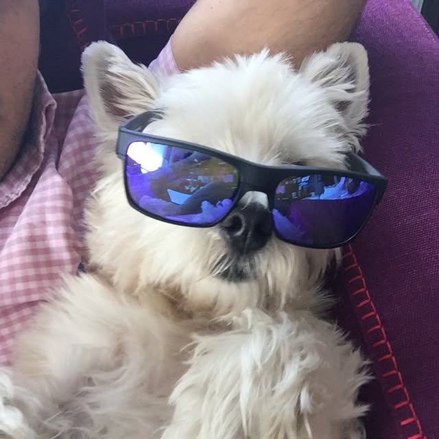 Bolt profile picture