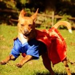 Cooper Hay profile picture