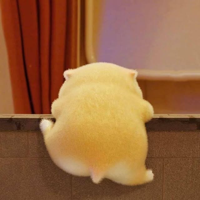 Louis Lay profile picture