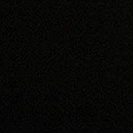 A profile picture