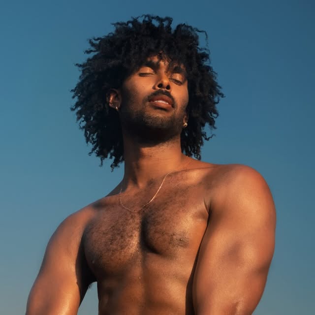 Adrian Hollinger profile picture