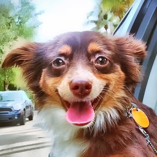 LAYLA profile picture