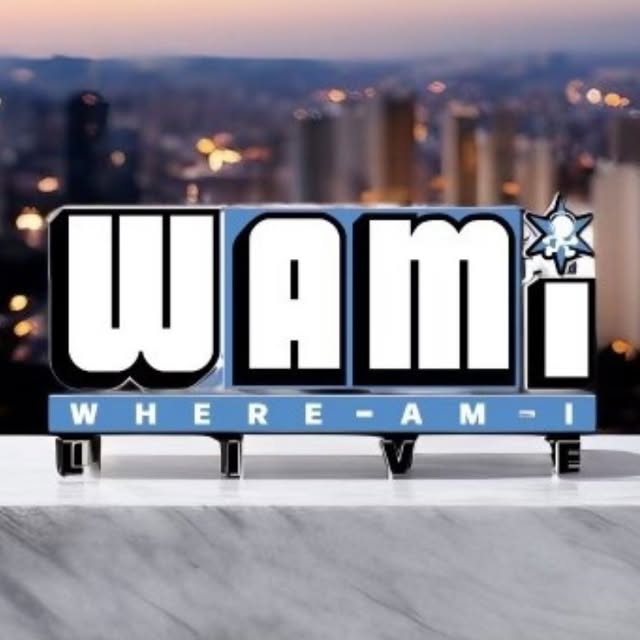 WAMI LIVE INC profile picture