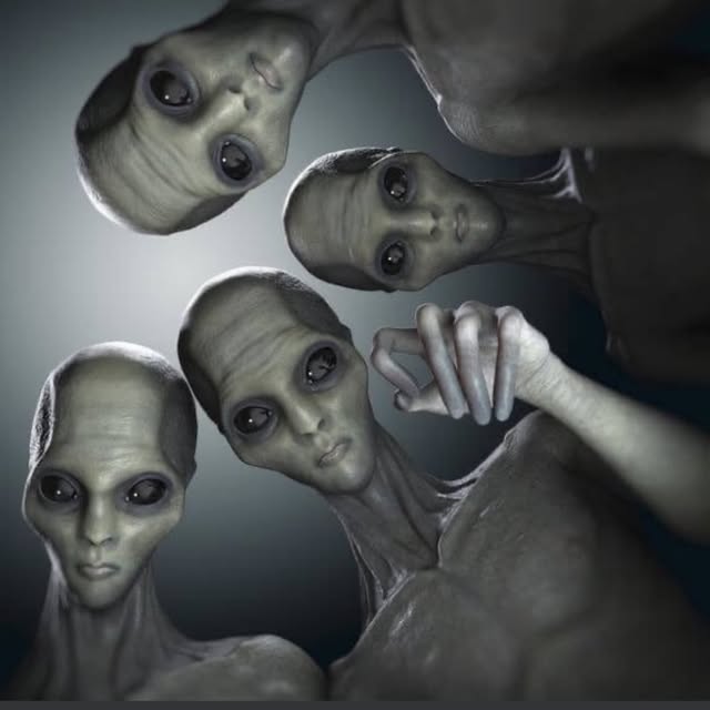 Pete Kulba profile picture