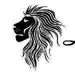 Luxurious Manes | Luxury Hair profile picture