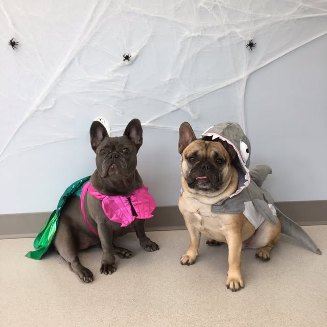 Lola and Reggie profile picture