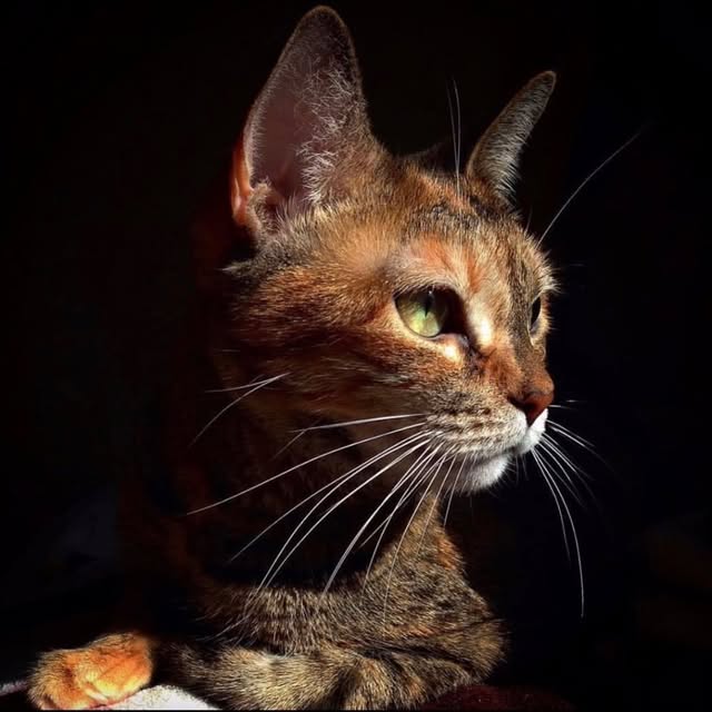 𝒂𝒋𝒒𝒎𝒏𝒚𝒥𝒥𝒌 𝒜𝓇𝓍 𝒣𝒥𝒹𝒫𝒥 profile picture