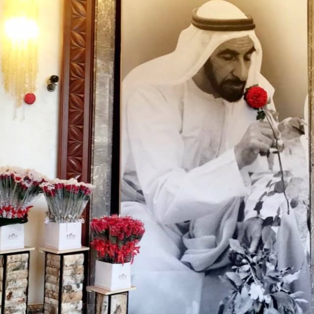 Bo Zayed880 profile picture