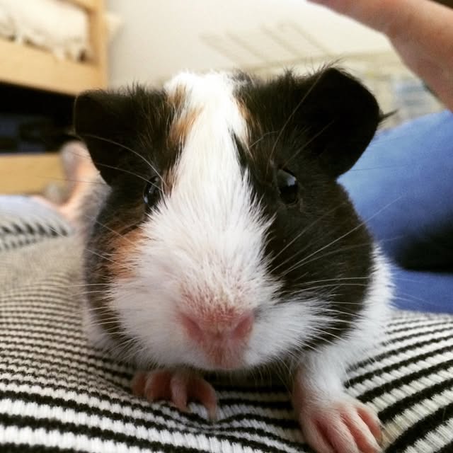Peggy profile picture