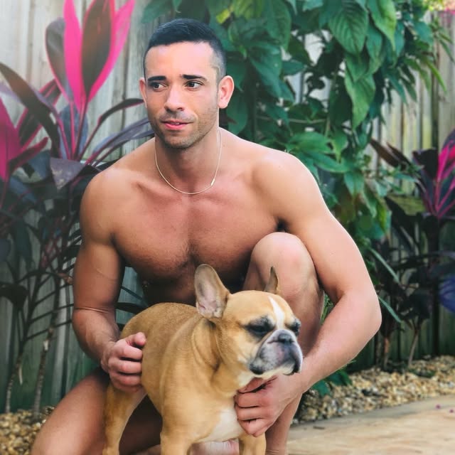 Robin Meerkat profile picture
