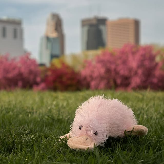 harlophoto profile picture