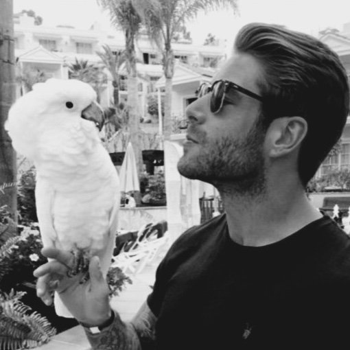 rmilanooo profile picture
