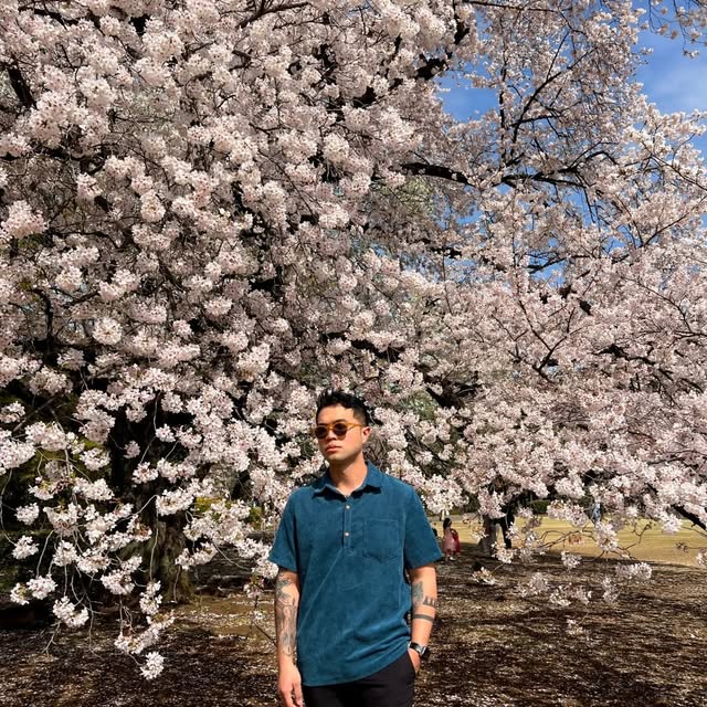 nard 𓆝 𓆟 profile picture