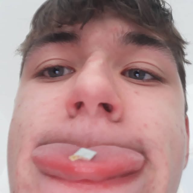 Taylor profile picture