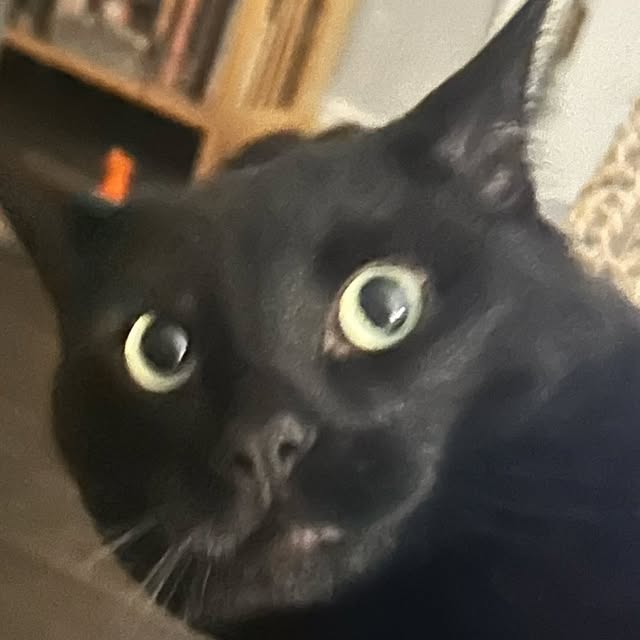 Jay profile picture