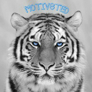 m0tiv8ed_for_success profile picture