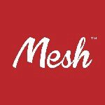 Mesh profile picture
