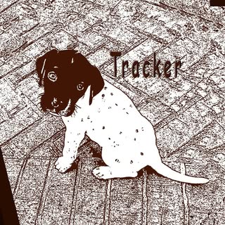 Tracker the GSP profile picture