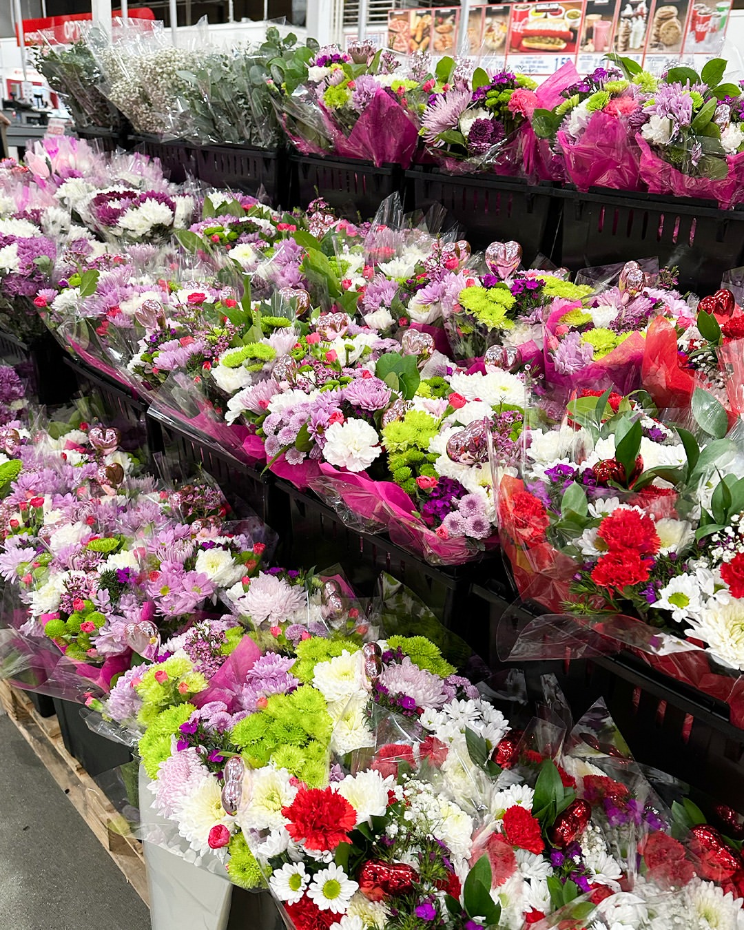 Profile gallery image 1