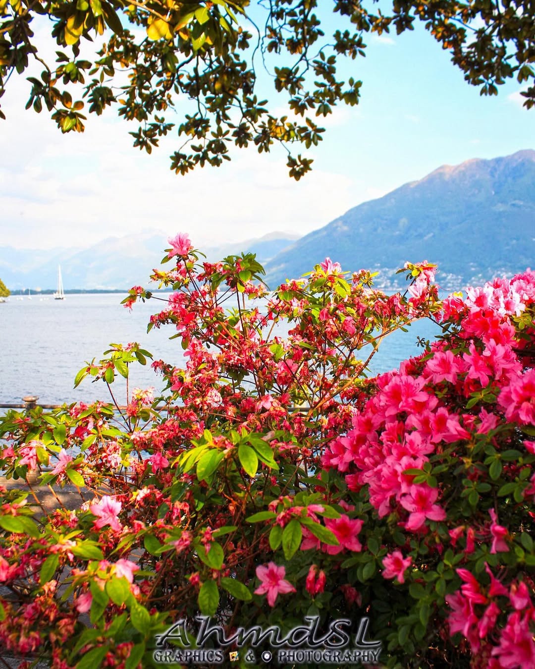 Profile gallery image 1